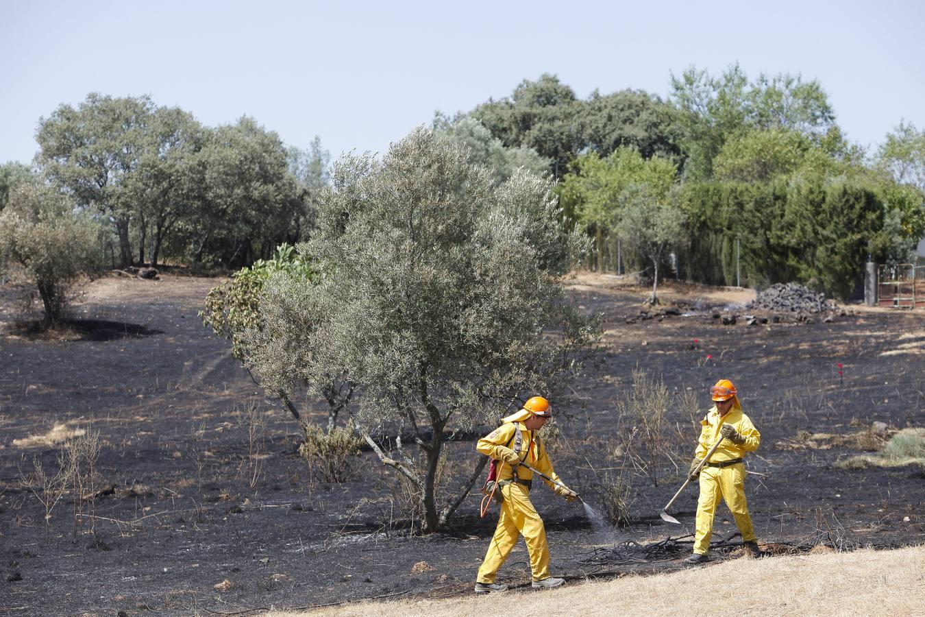 El incendio forestal de las Siete Fincas, en imágenes