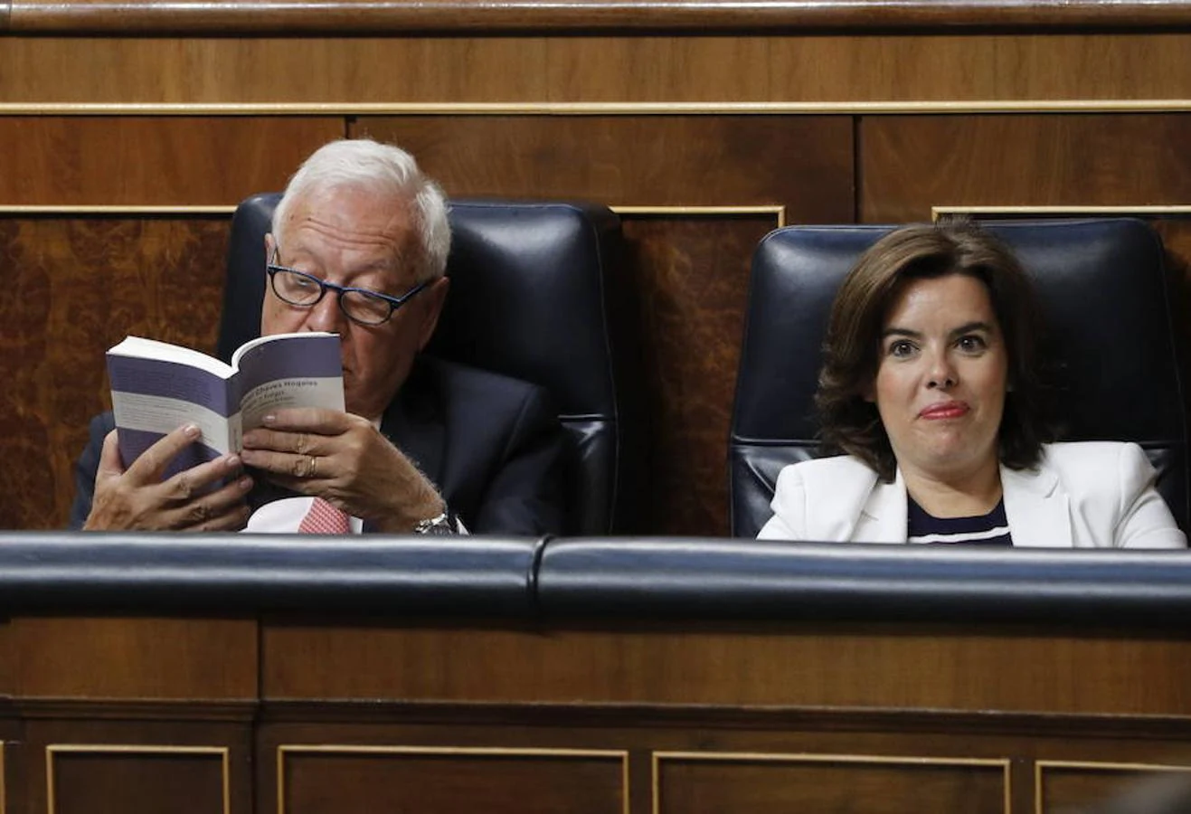 El ministro de Asuntos Exteriores en funciones, José Manuel García-Margallo, lee «A sangre y fuego» de Manuel Chaves Nogales