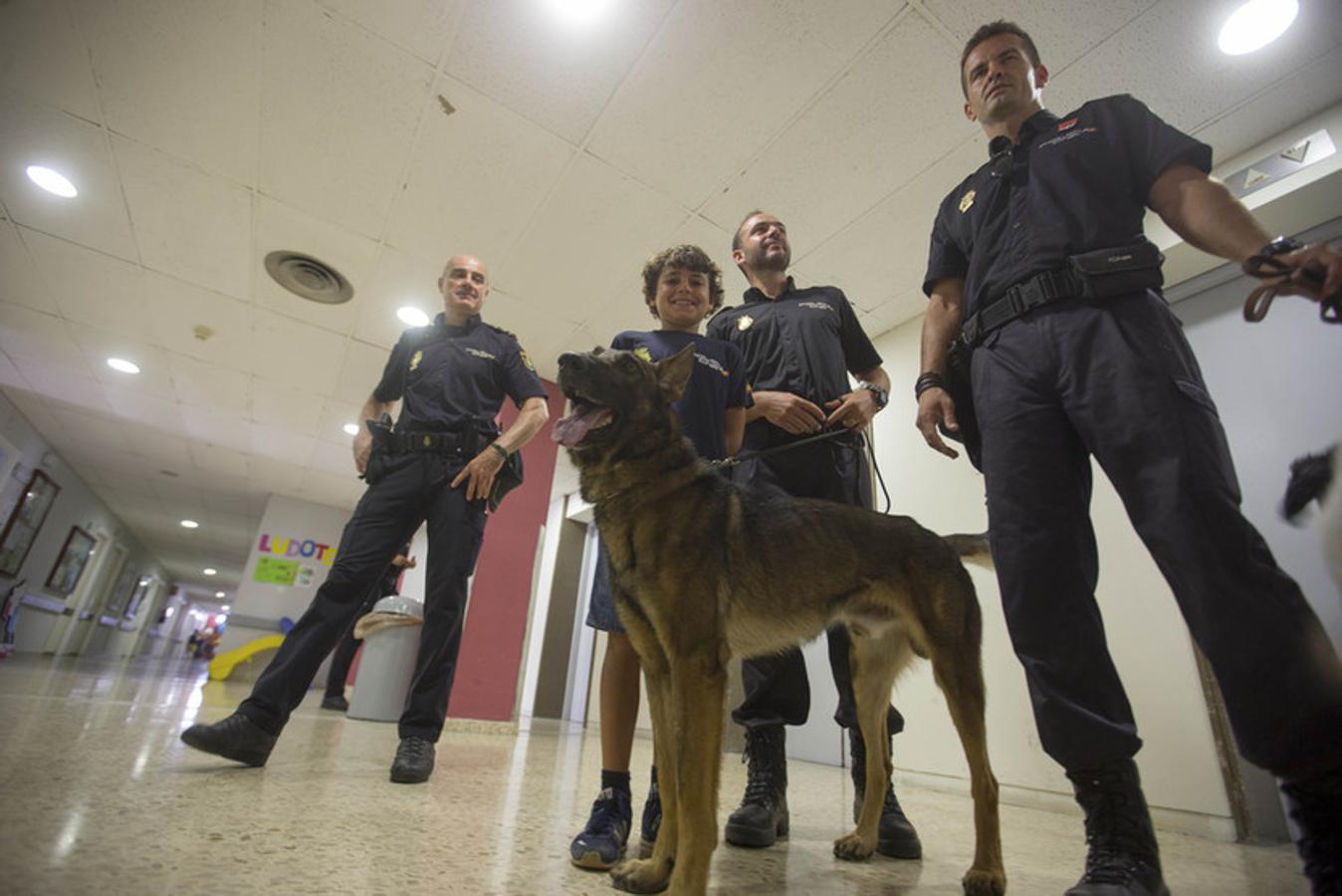 Los guías caninos de la Policía Nacional visitan a los niños del Hospital Puerta del Mar