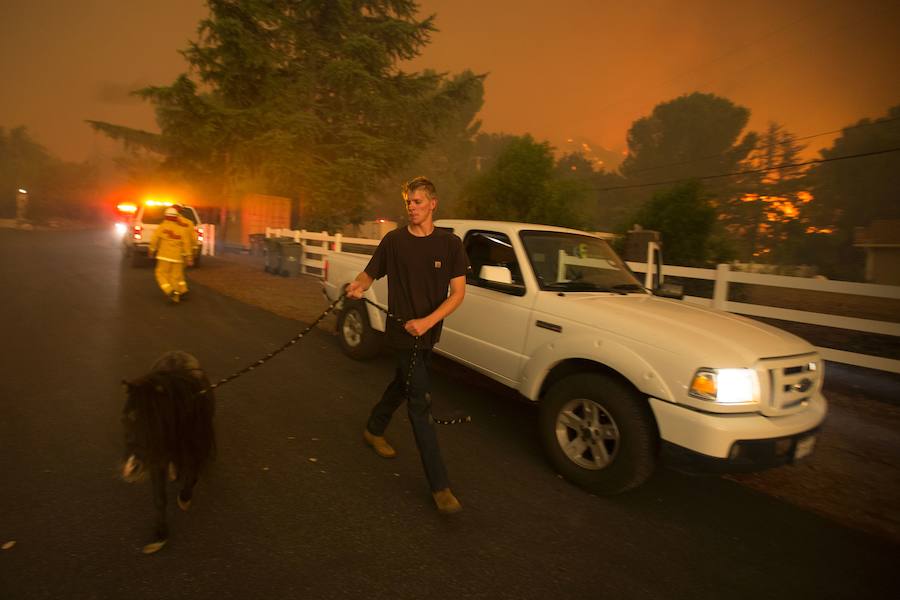 Un hombre evacúa a un poni. 