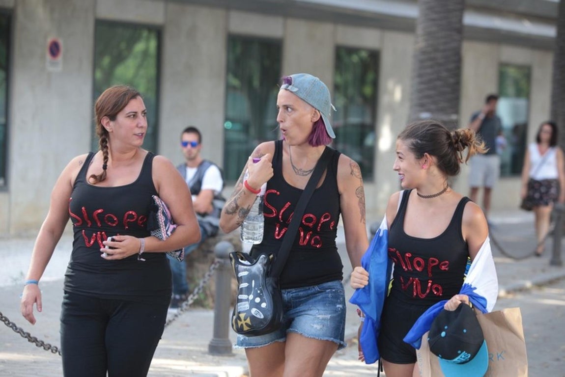 Fotos: Búscate en el concierto de Alejandro Sanz en Jerez