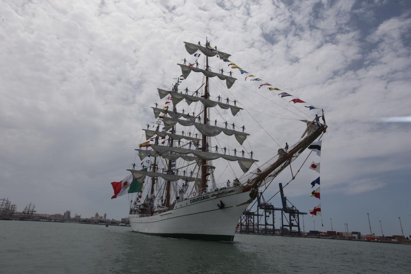 La salida de los veleros del puerto de Cádiz, en imágenes