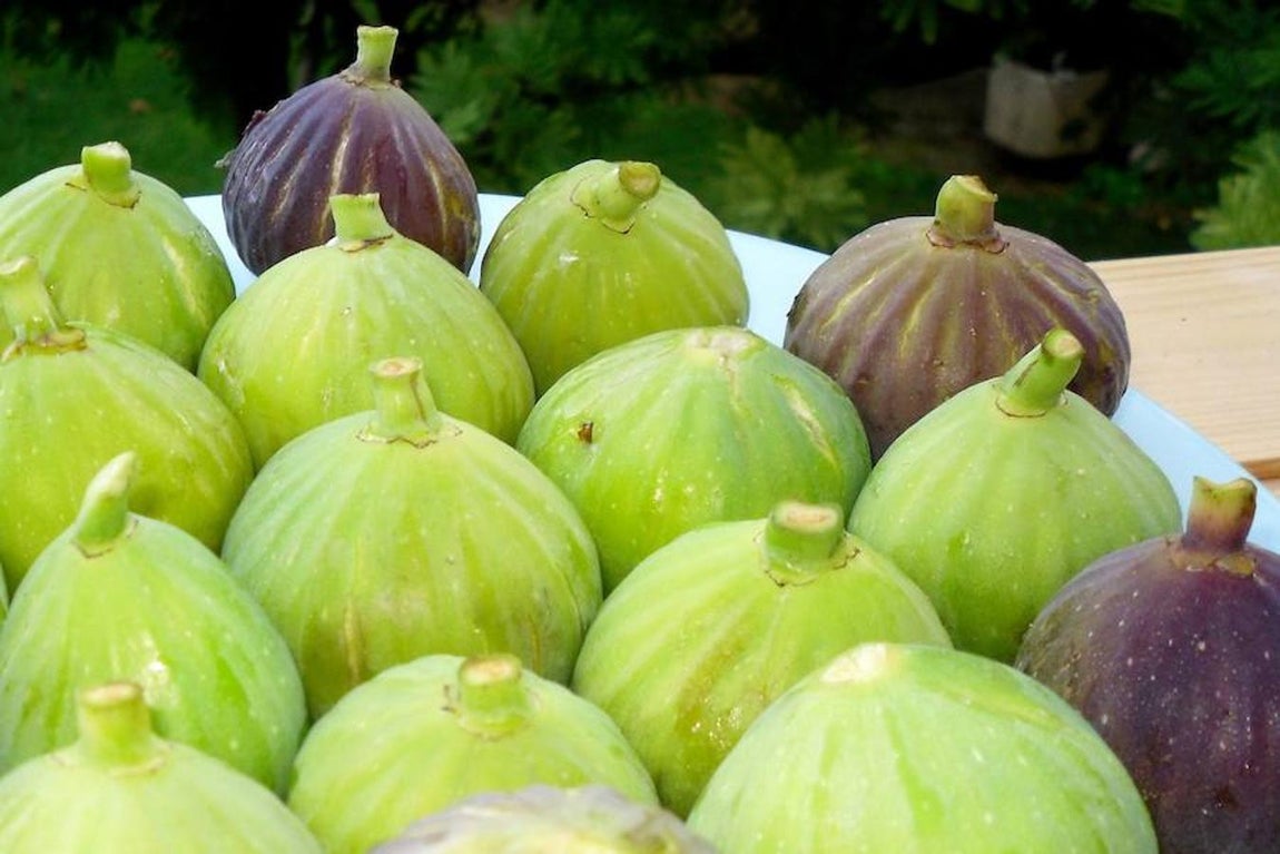 Las 16 frutas que hay que comer en agosto. Higo