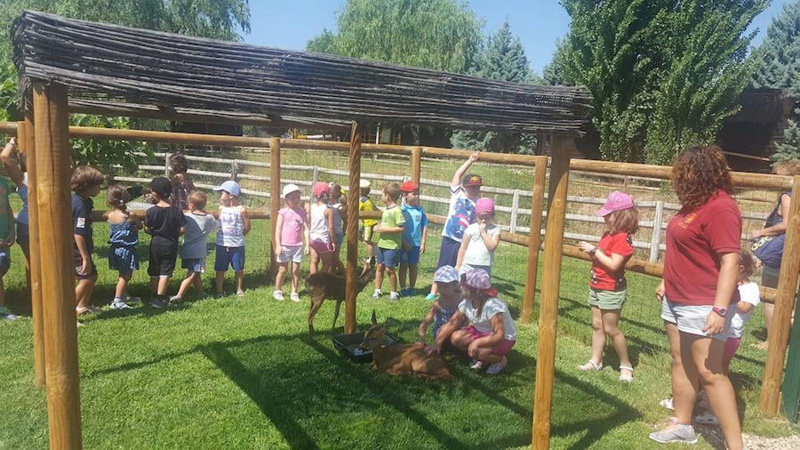 El «Verano Guay» de Torrijos llega a su fin