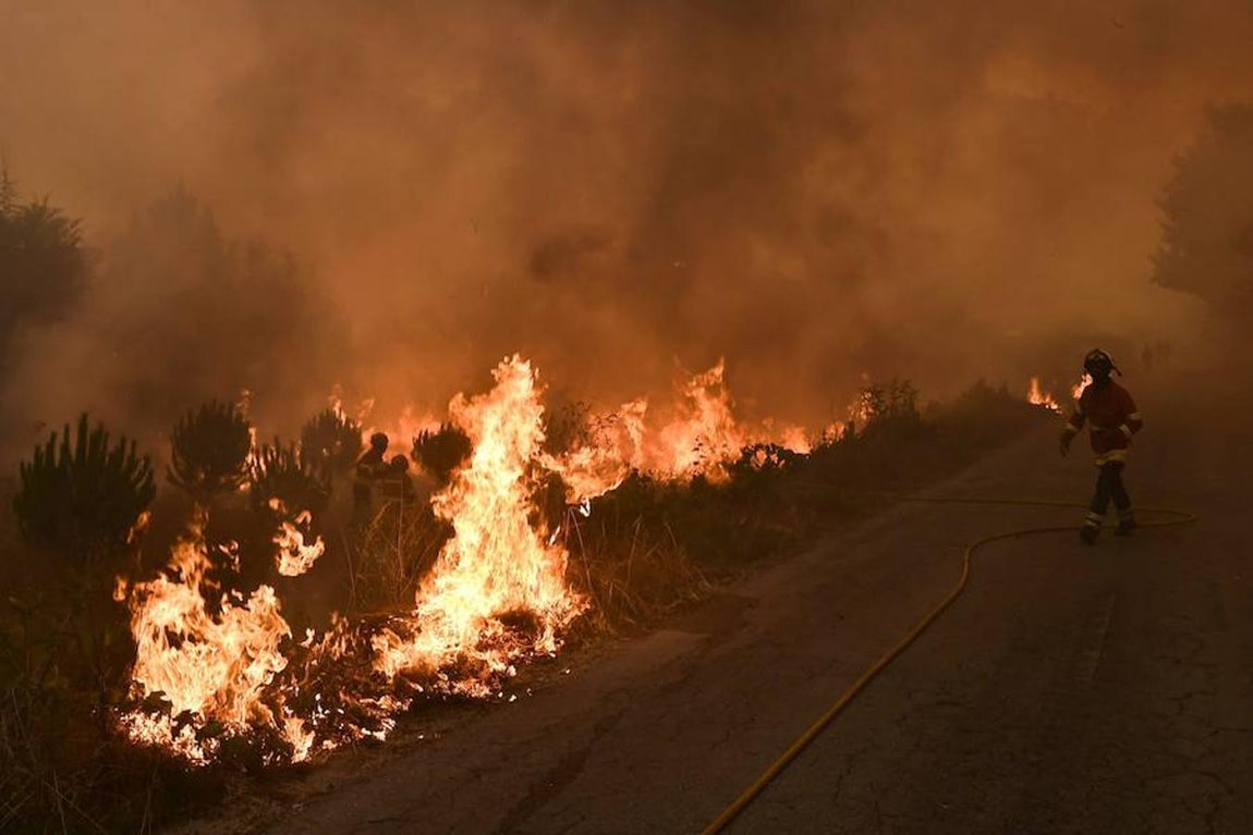 Los incendios forestales que asolan Portugal