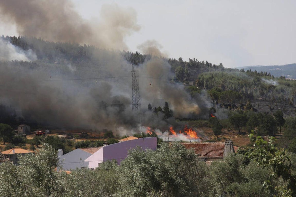 Los incendios forestales que asolan Portugal