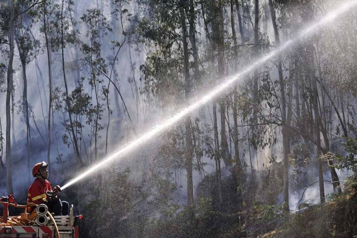 Los incendios forestales que asolan Portugal