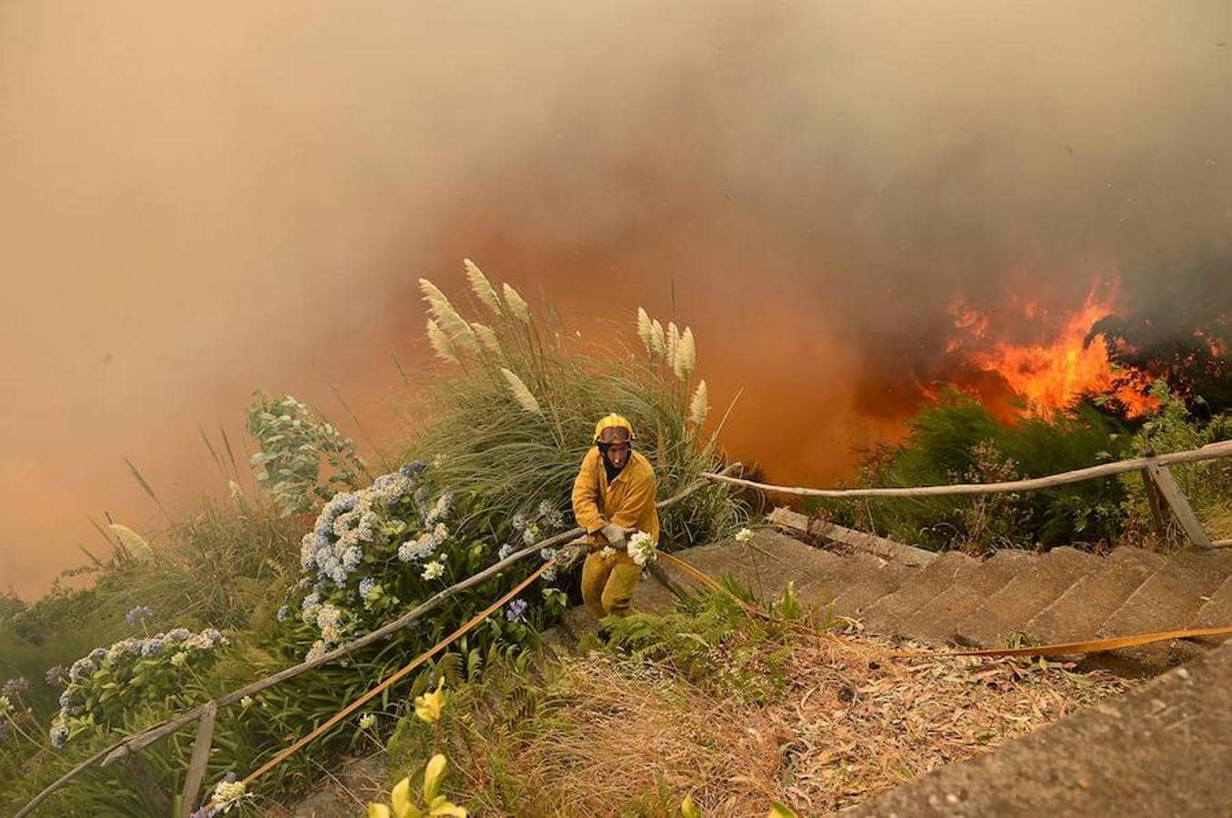Imágenes de los terribles incendios que están arrasando la portuguesa isla de Madeira