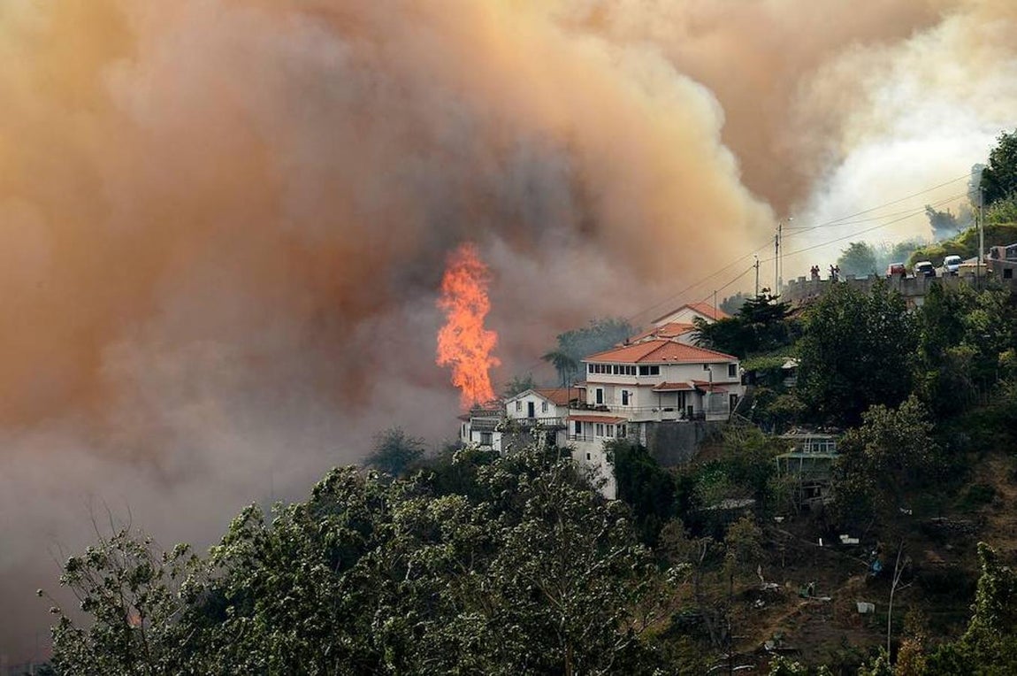 Imágenes de los terribles incendios que están arrasando la portuguesa isla de Madeira
