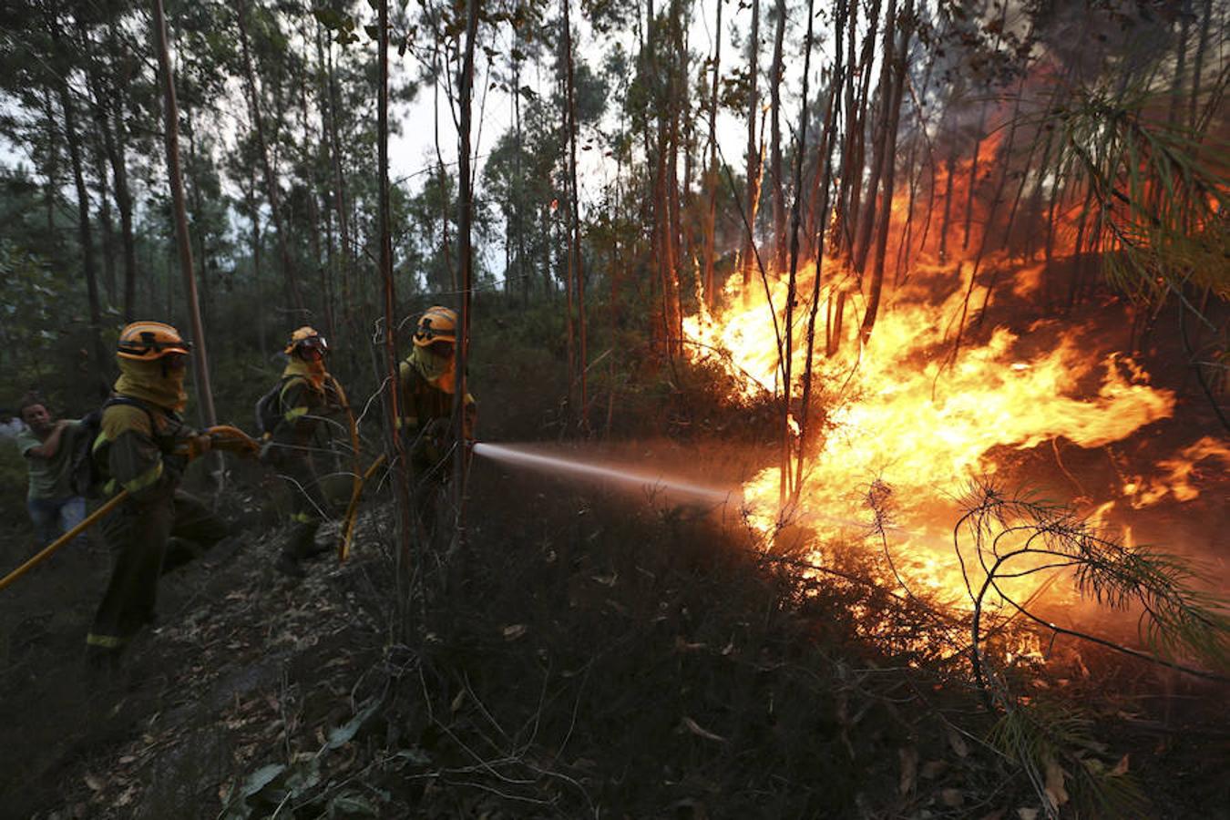 Brigadas forestales intentan sofocar las llamas del incendio forestal
