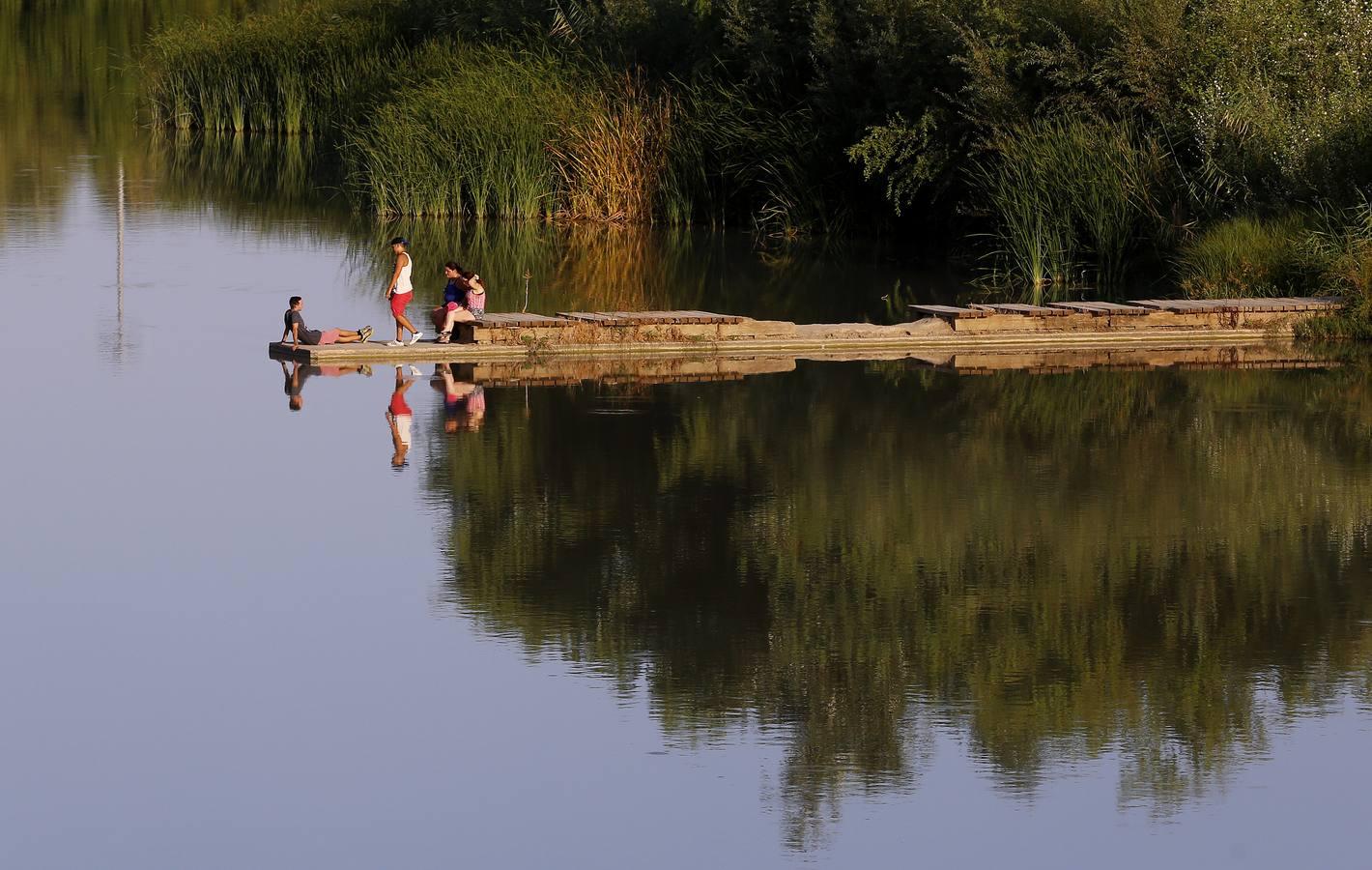 En imágenes, un solaz de frescor junto al río