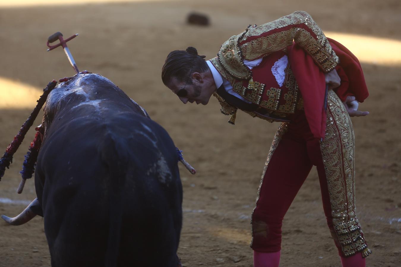 Toros en Sanlúcar: Padilla, Manzanares, López Simón y El Fandi