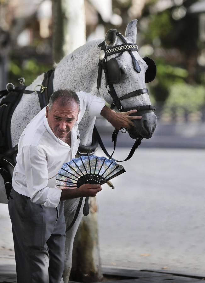 Sevilla vive una ola de calor de récord