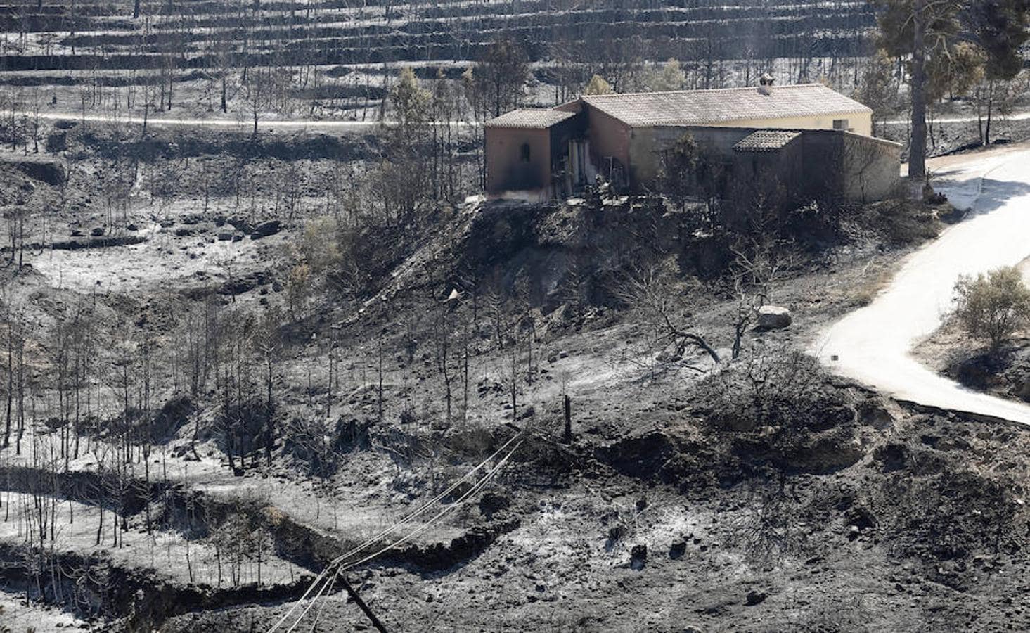 Las llamas del fuego de Alicante han calcinado 812 hectáreas de tierra 