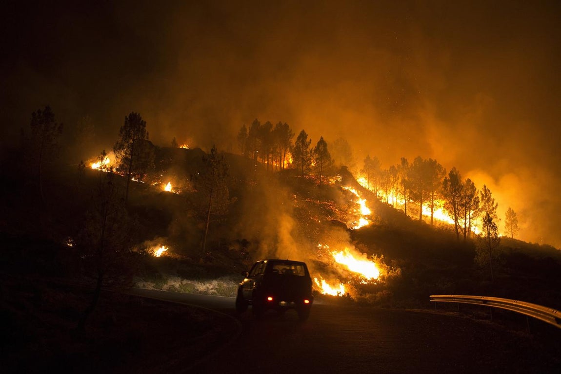 Entrimo también ha sido víctima del avance de las llamas. 