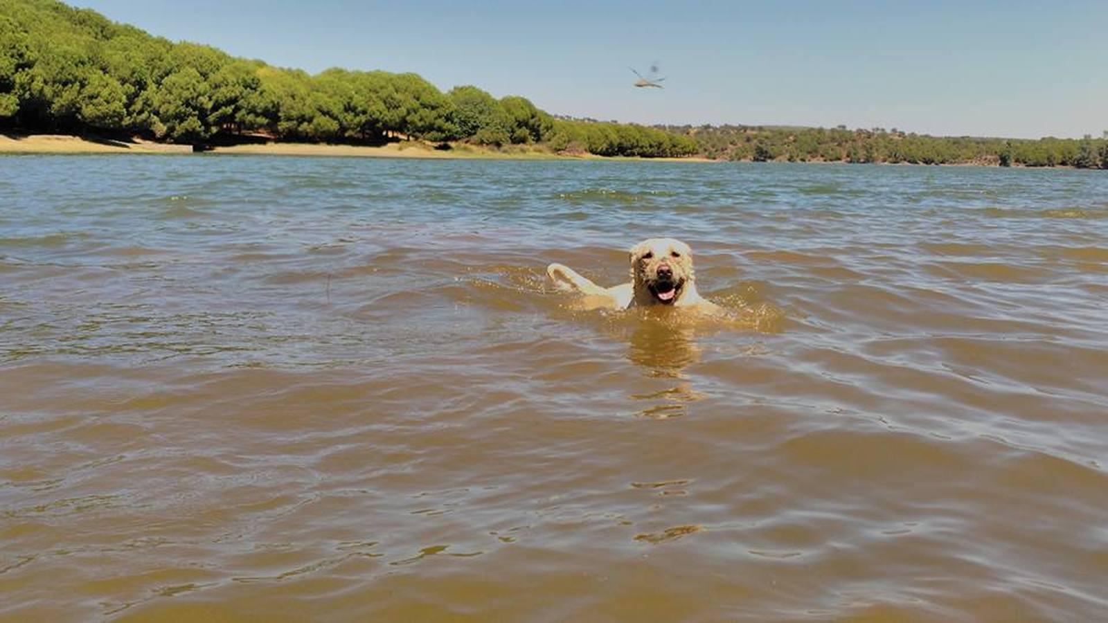 Refresca los termómetros compartiendo tus fotos de la playa