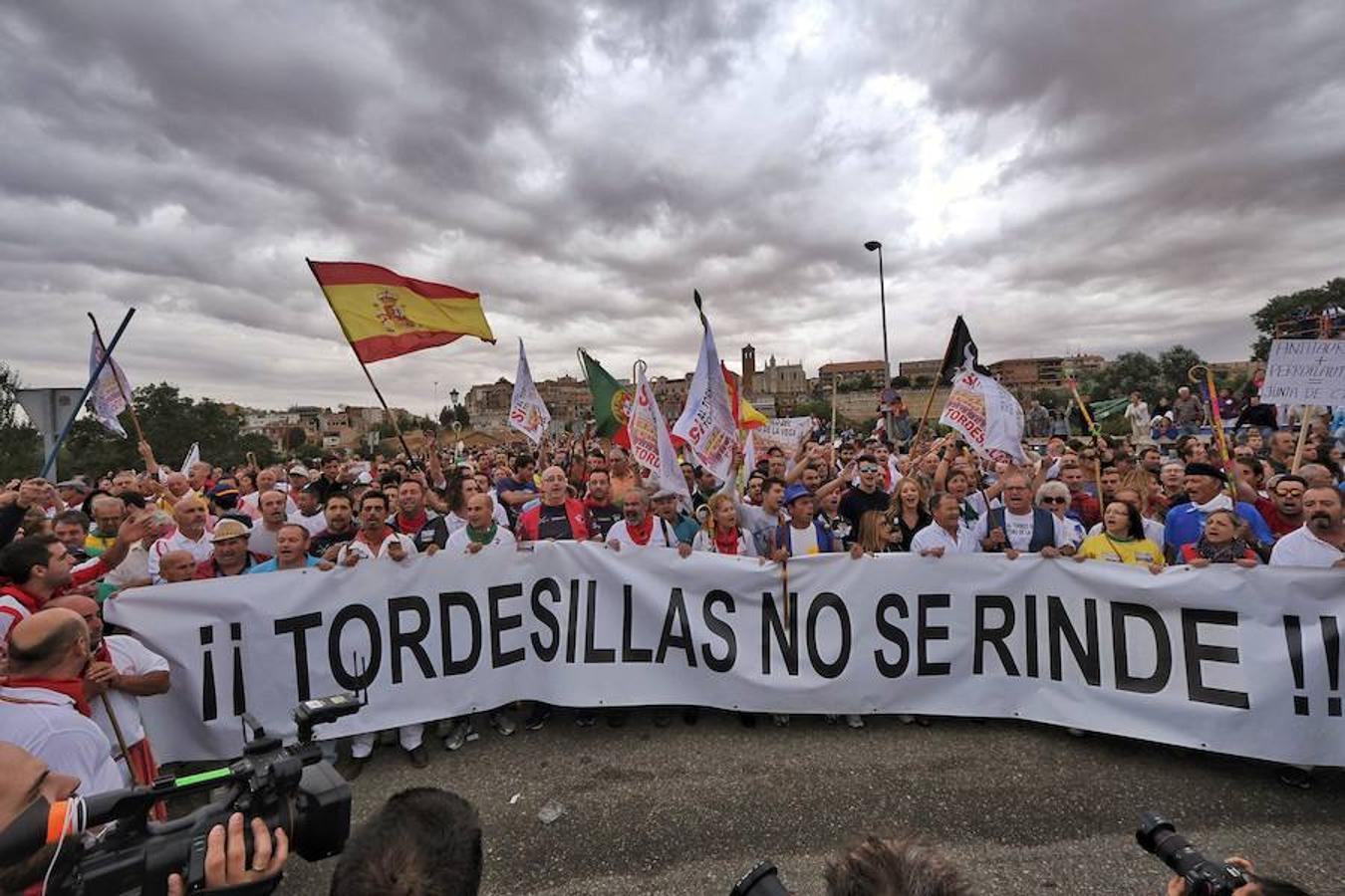 Manifestación. Los manifestantes en favor del Toro de la Vega han llegado al puente de entrada al pueblo con pancartas que rezan «Tordesillas no se rinde» y lanzan gritos de «Tordesillas no se vende». Esto se produce justo antes del manifiesto a favor de la festividad tordesillana