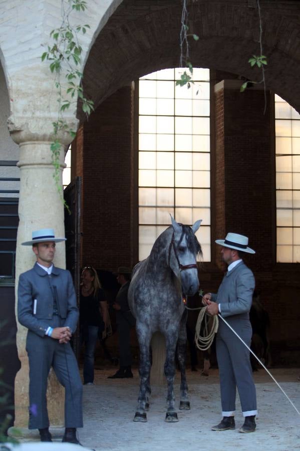 El arranque de Cabalcor, en imágenes