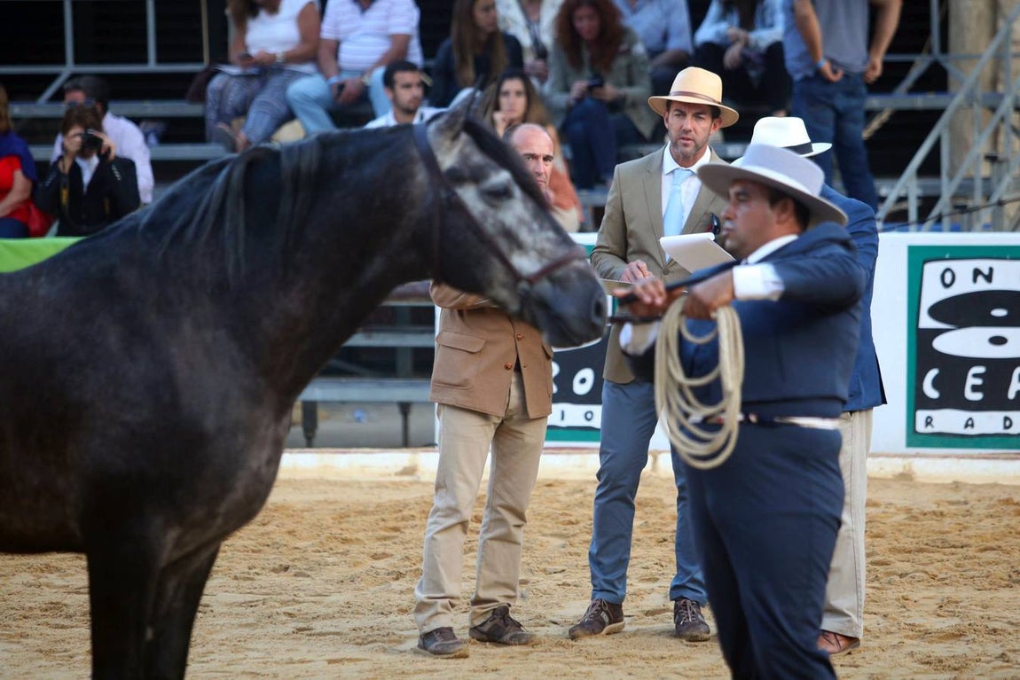 El arranque de Cabalcor, en imágenes