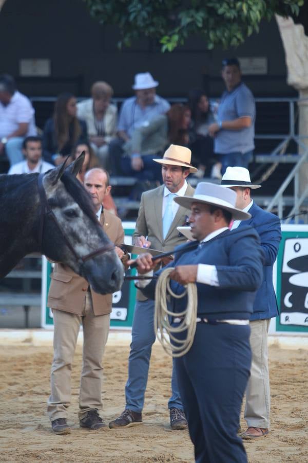 El arranque de Cabalcor, en imágenes
