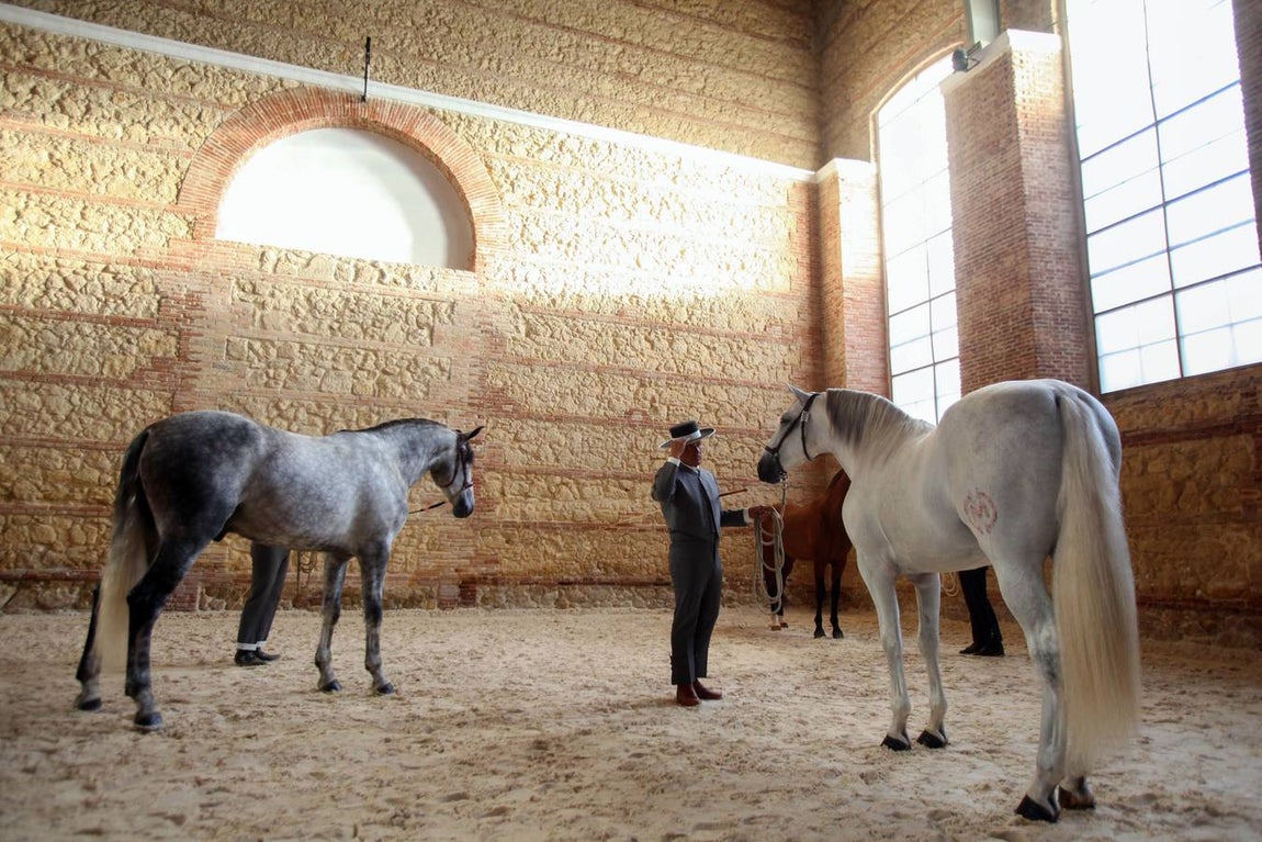 El arranque de Cabalcor, en imágenes