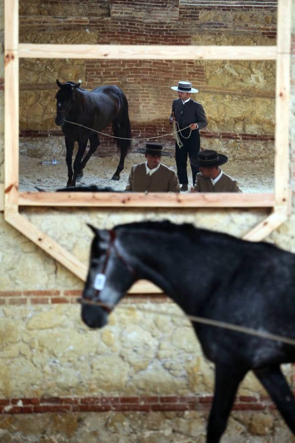 El arranque de Cabalcor, en imágenes