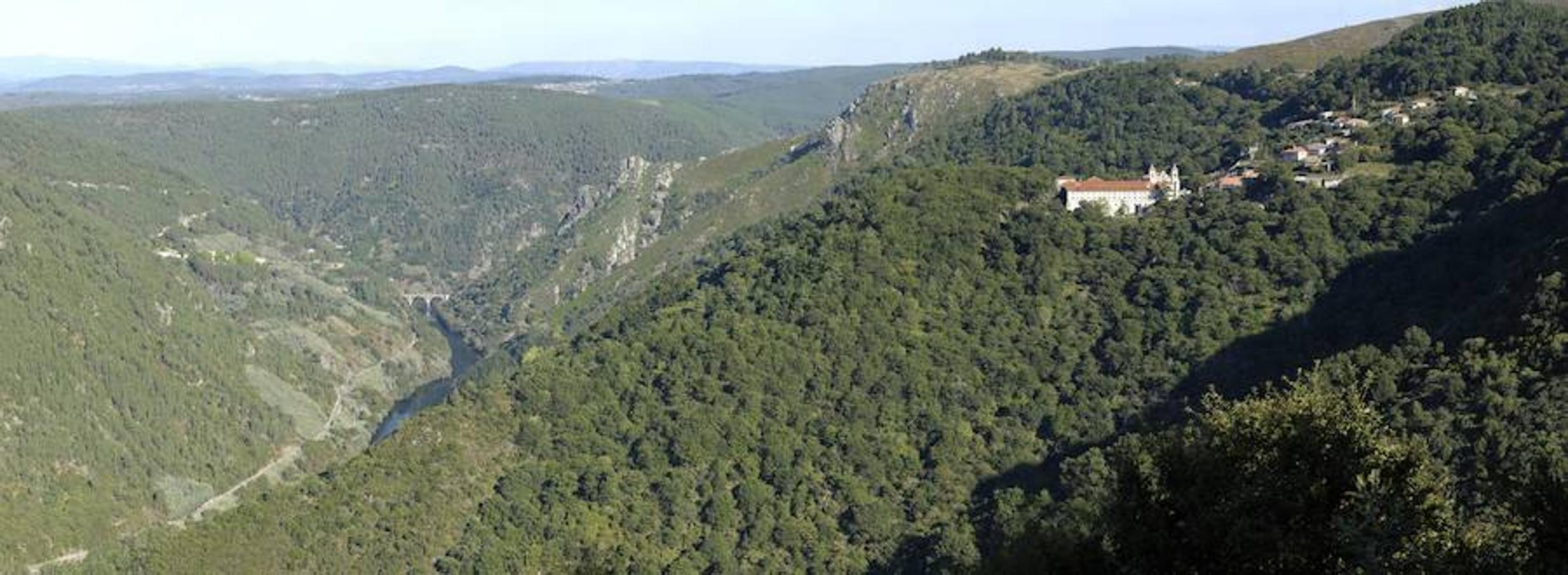 ¿Cómo están cambiando los bosques del mundo?. Durante 2010-2015 , la pérdida neta anual de bosques en el mundo ha sido de 3,3 millones de hectáreas