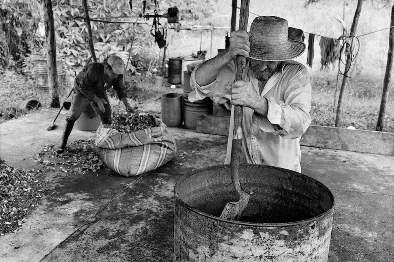 Un grupo de agricultores trabaja en un laboratorio de coca. 