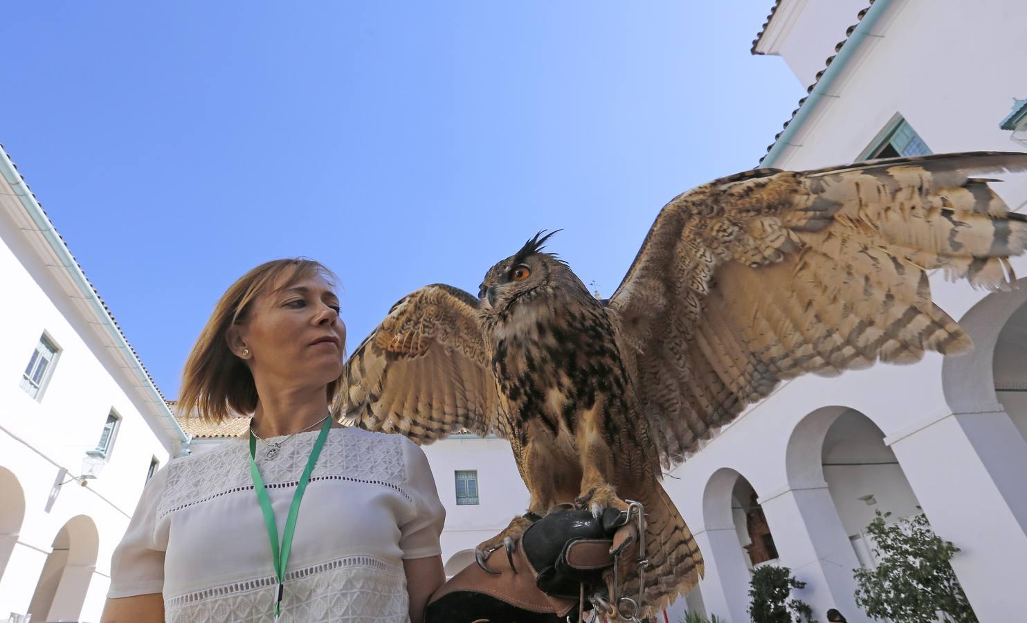 La inauguración de Intercaza, en imágenes