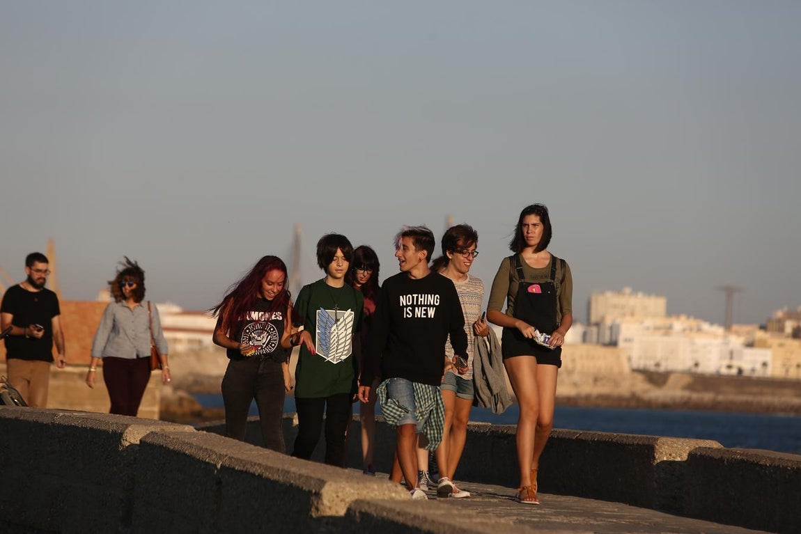Fotos: Las bodas frikis llegan al Festival Manga de Cádiz