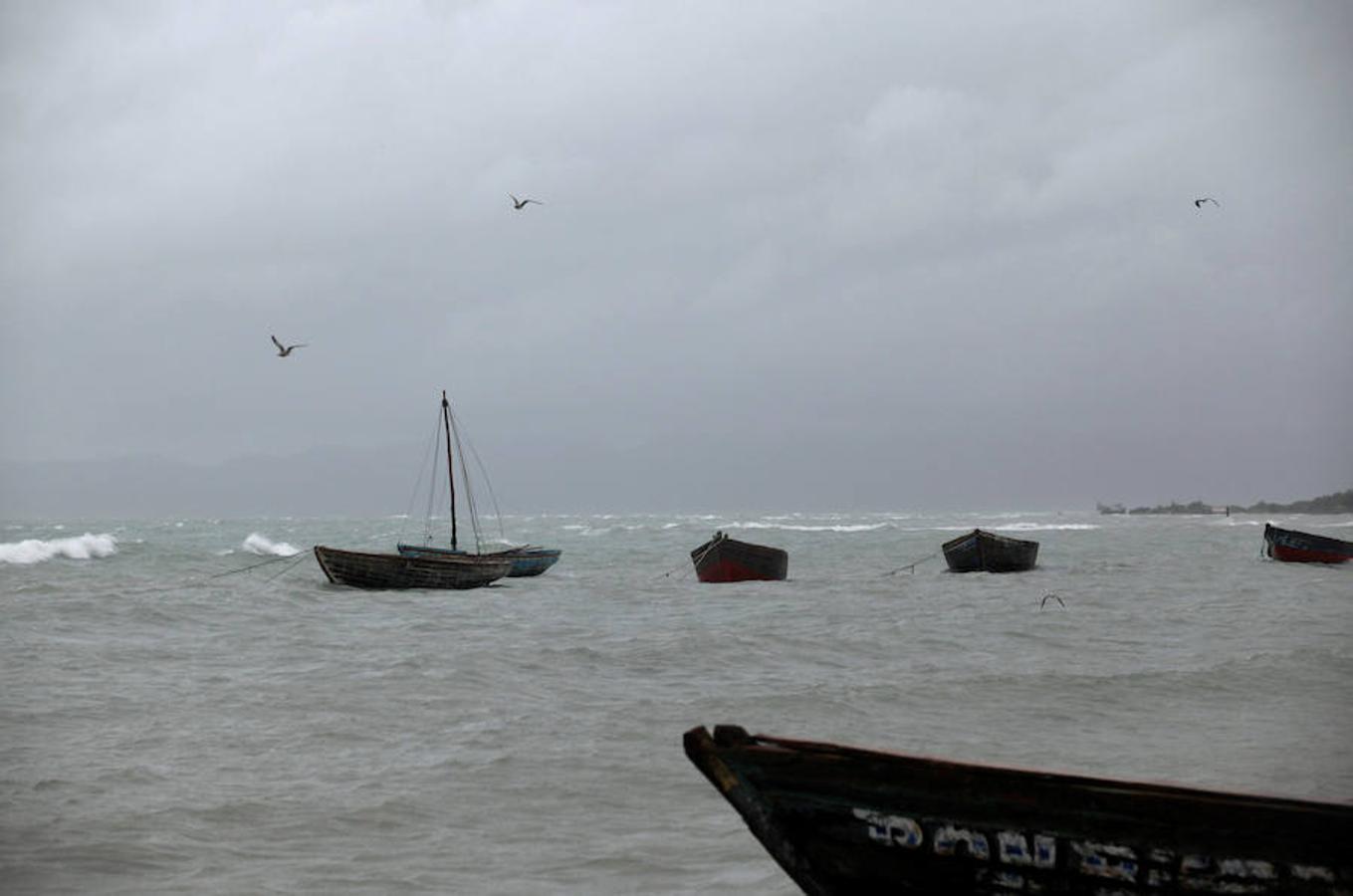 Gaviotas sobrevuelan las embarcaciones que lucha contra el oleaje en Les Cayes, en Haití