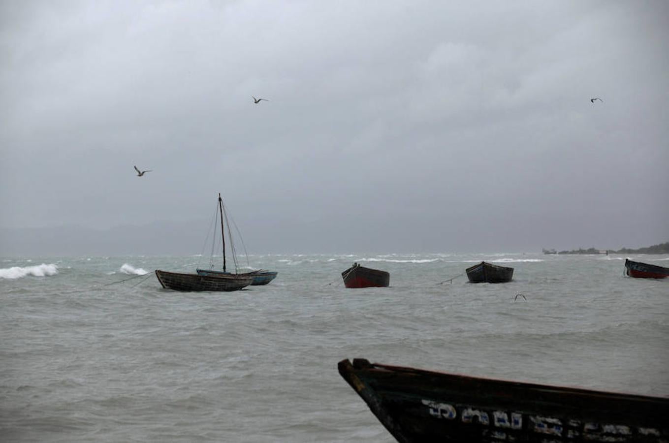 Gaviotas sobrevuelan las embarcaciones que lucha contra el oleaje en Les Cayes, en Haití. 