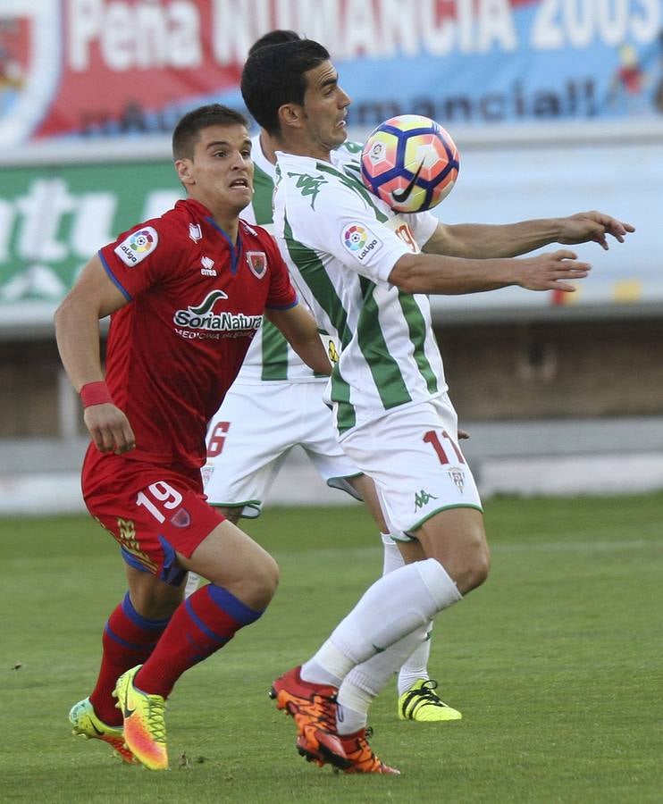 Las mejores imágenes del Numancia-Córdoba CF