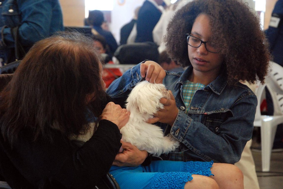 Más de 3.500 perros en la Exposición Internacional Canina de Otoño de Talavera