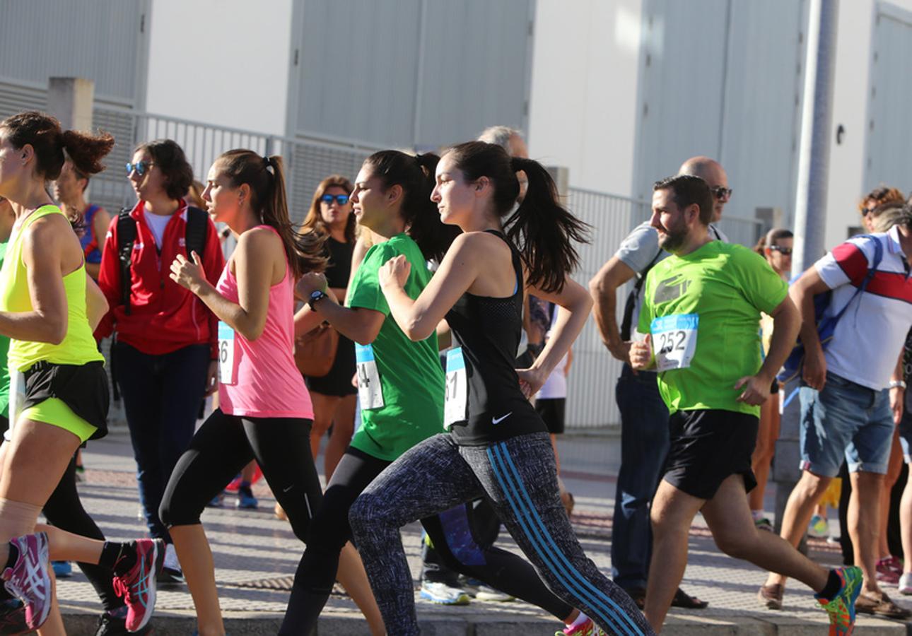 Búscate en la Milla Verde Ciudad de Cádiz 2016 (I)