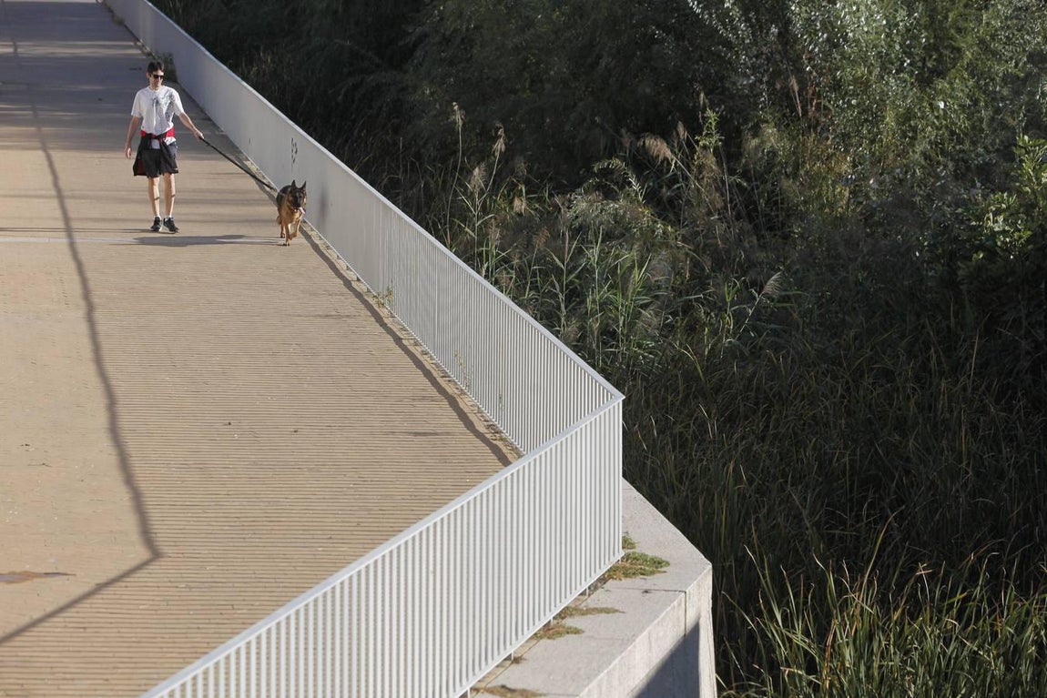 La peor cara del río Guadalquivir en Córdoba