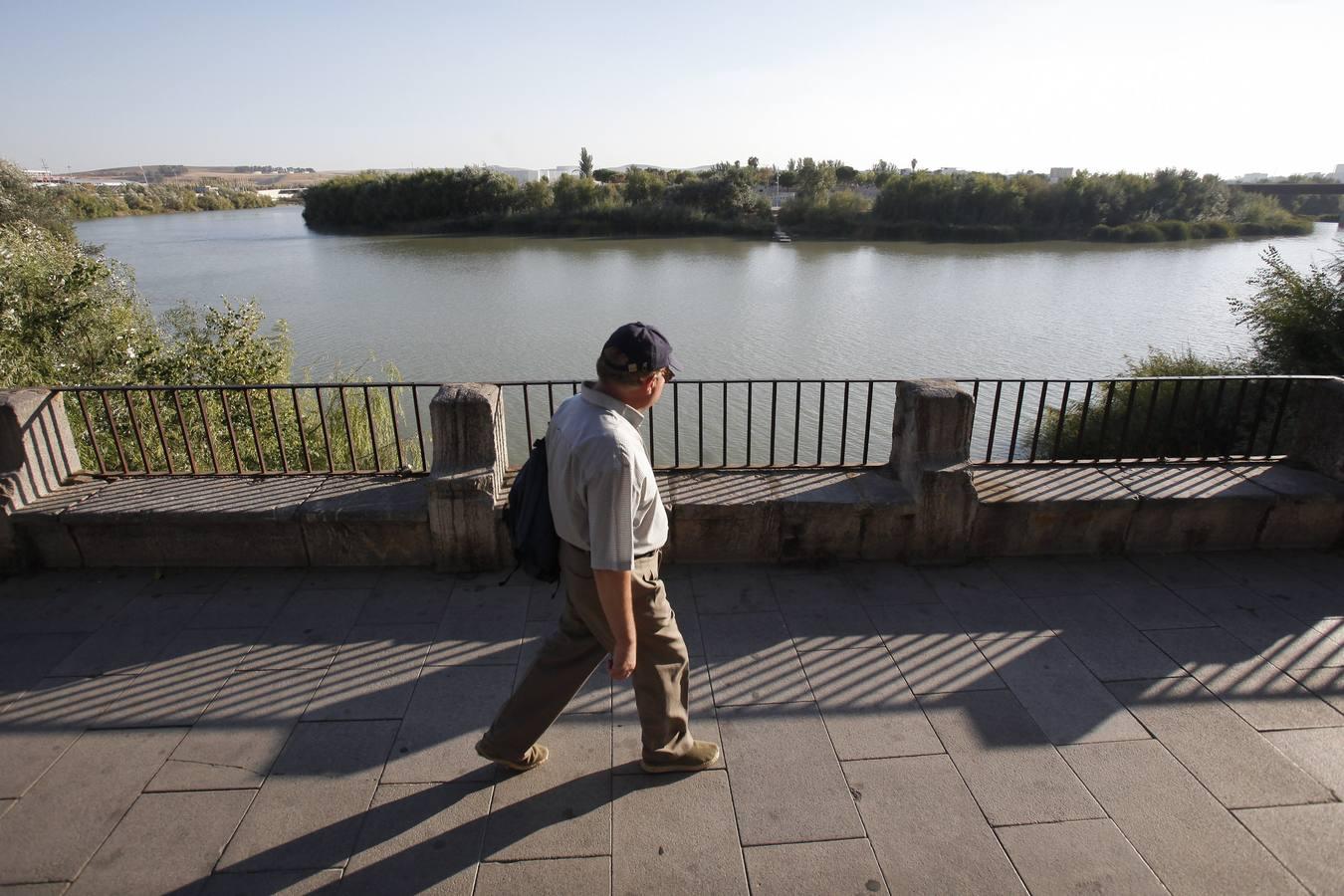 La peor cara del río Guadalquivir en Córdoba