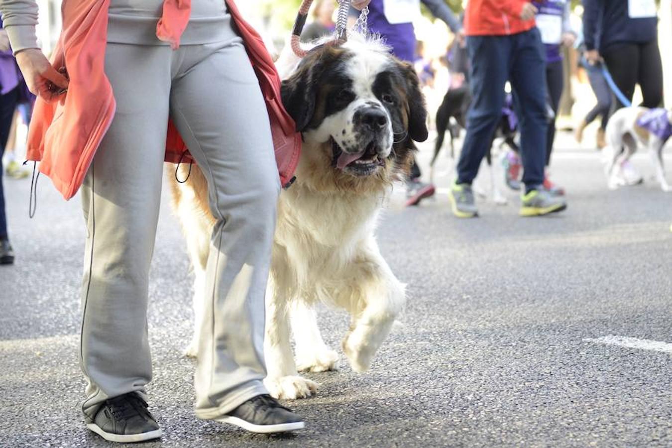 Esta es la quinta edición de esta carrera solidaria