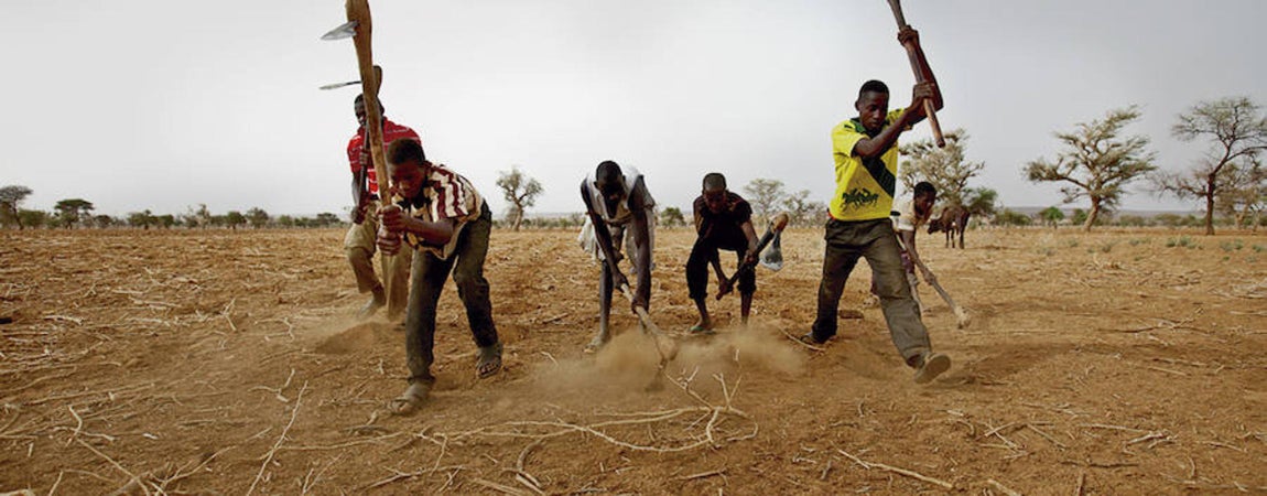 La del Sahel es una lucha contra el desierto. El Sahara araña unos metros cada año a esta región, una de las más afectadas por el cambio climático. En 2016 el fenómeno de El Niño ha dejado caer con toda su fuerza el golpe de la sequía en otros lugares del mundo como África Austral, Centroamérica y el Sudeste Asiático. Poder adaptarse y ser resiliente a la sequía es un reto global en un mundo que tendrá que aumentar un 70% su producción de alimentos antes de 2050 para alimentar a toda su población.. 