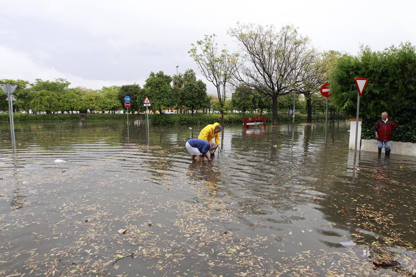 En imágenes: Sevilla, desbordada por las lluvias