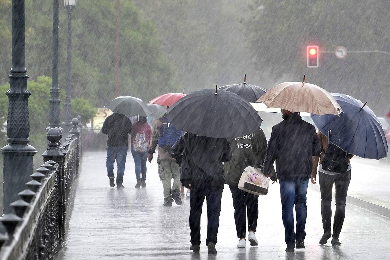 En imágenes: Sevilla, desbordada por las lluvias