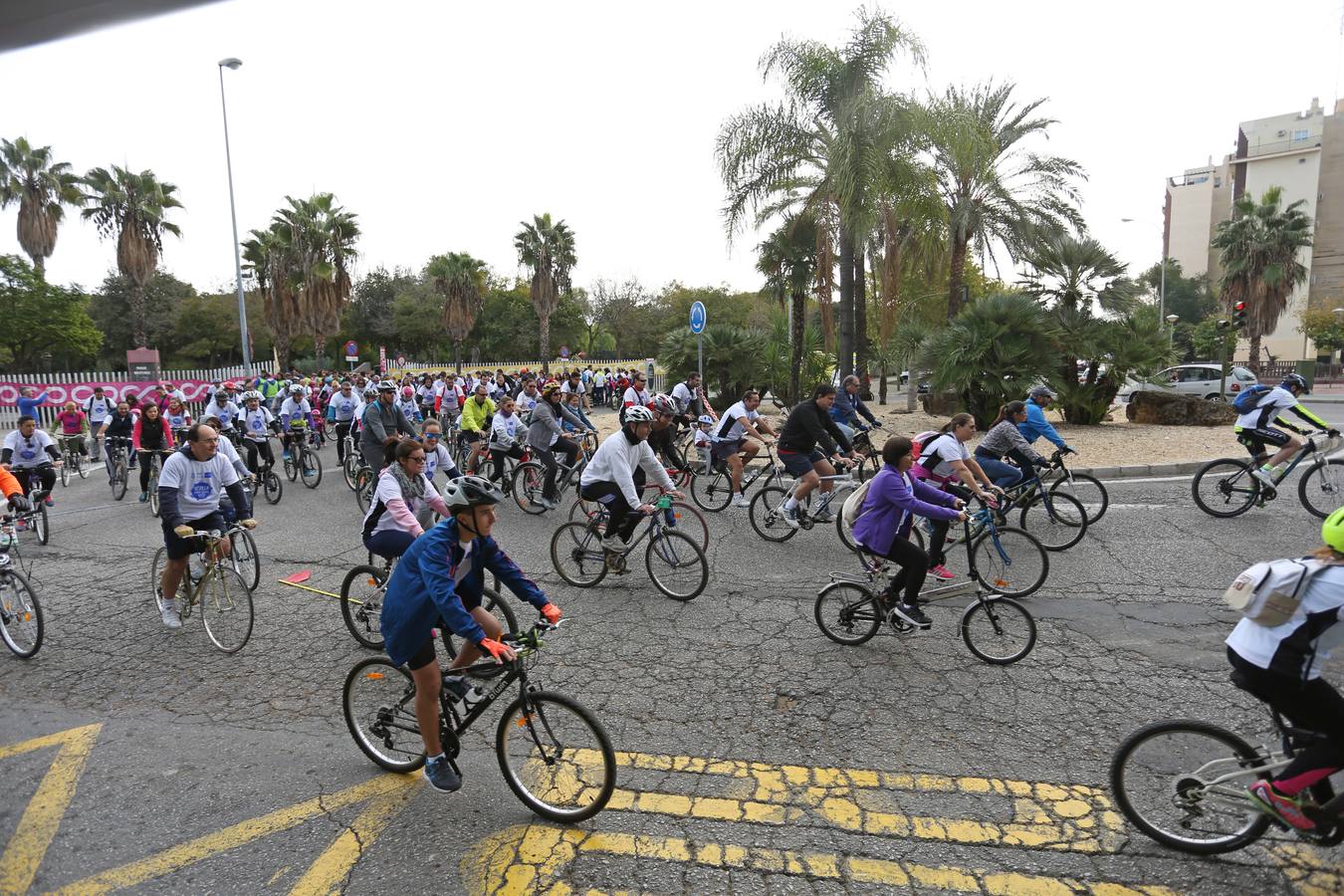 El evento «Sevilla sobre ruedas» ha estado organizado por el Ayuntamiento de Sevilla, en colaboración con la Fundación Cajasol y Bike and You