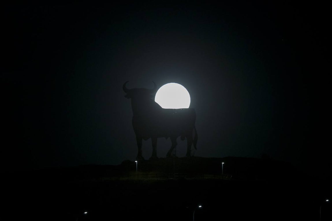 Espectaculares imágenes del toro que se enamoró de la superluna