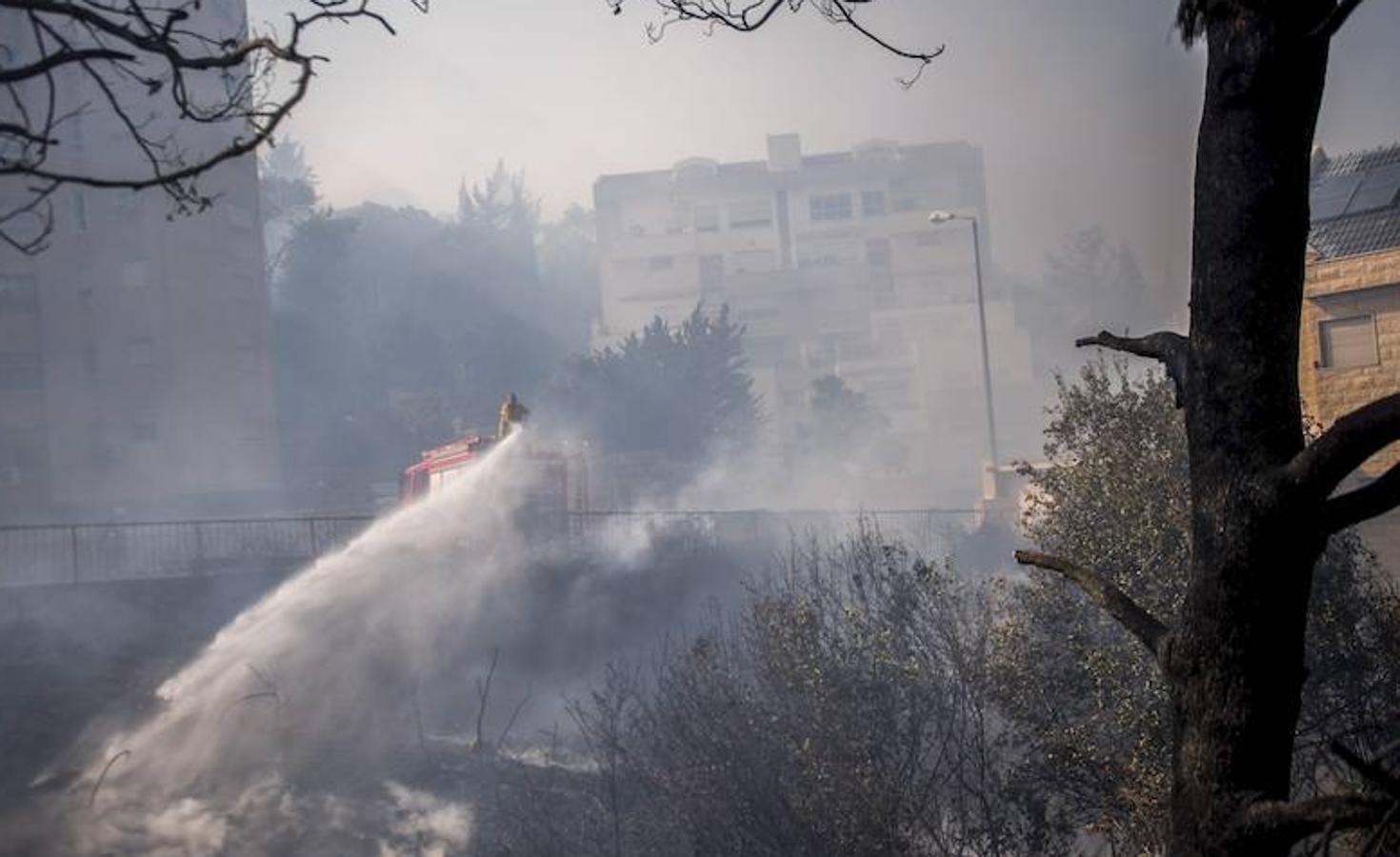 Las espectaculares imágenes de los incendios que asolan Israel 