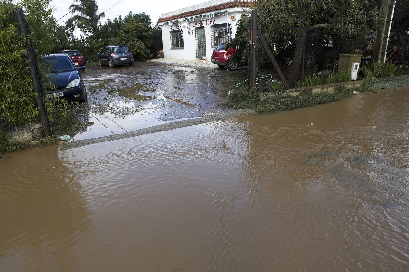 La lluvia inunda las zonas rurales de La Janda