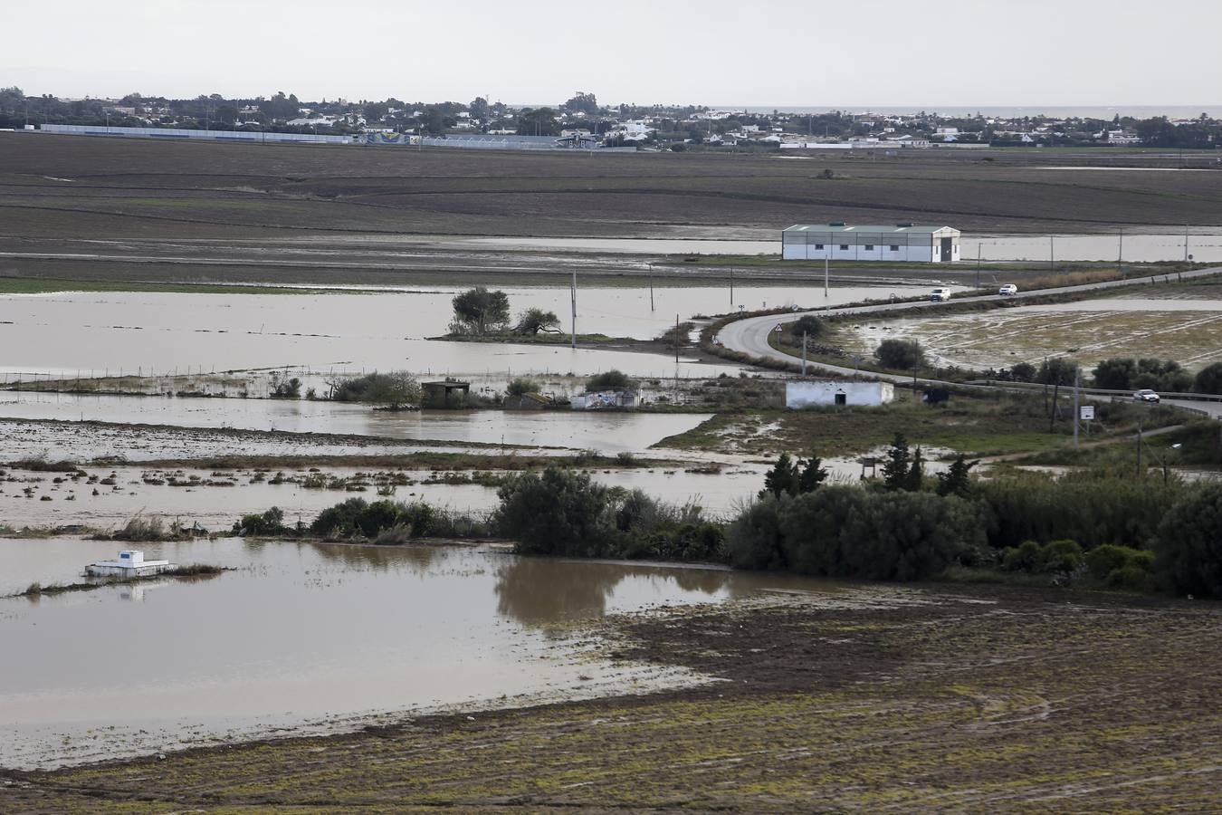 La lluvia inunda las zonas rurales de La Janda