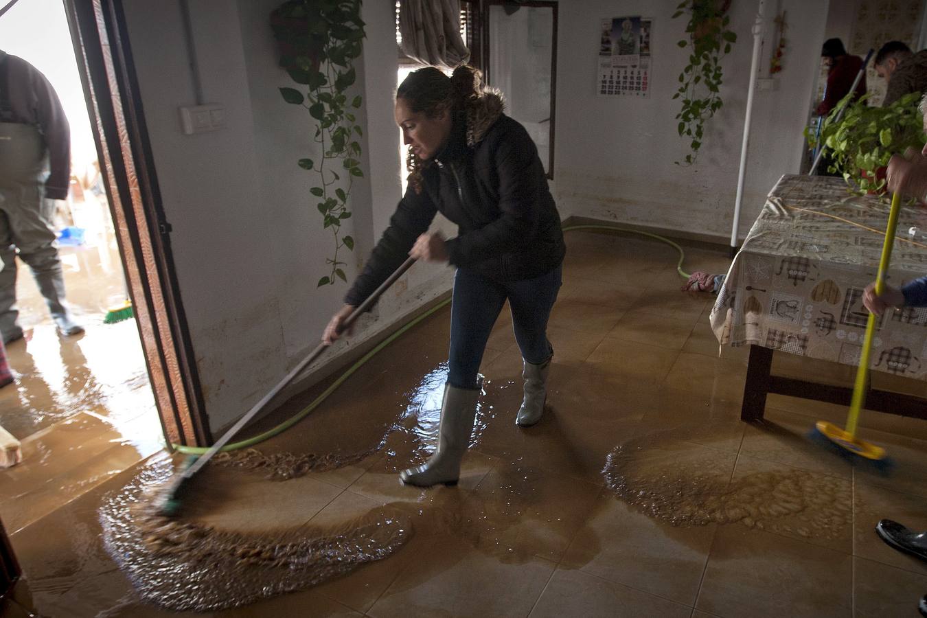 La lluvia inunda las zonas rurales de La Janda