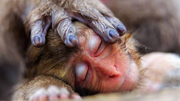 Las mejores fotografías de Naturaleza de 2016