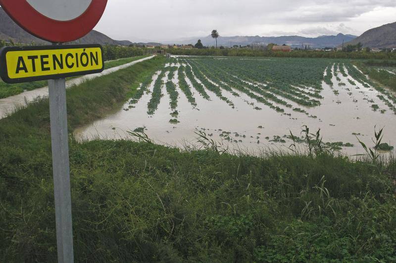 Campos de hortalizas totalmente inundados en la localidad alicantina de Redován, debido al fuerte temporal de lluvia que ha provocado la crecida del río Segura. 