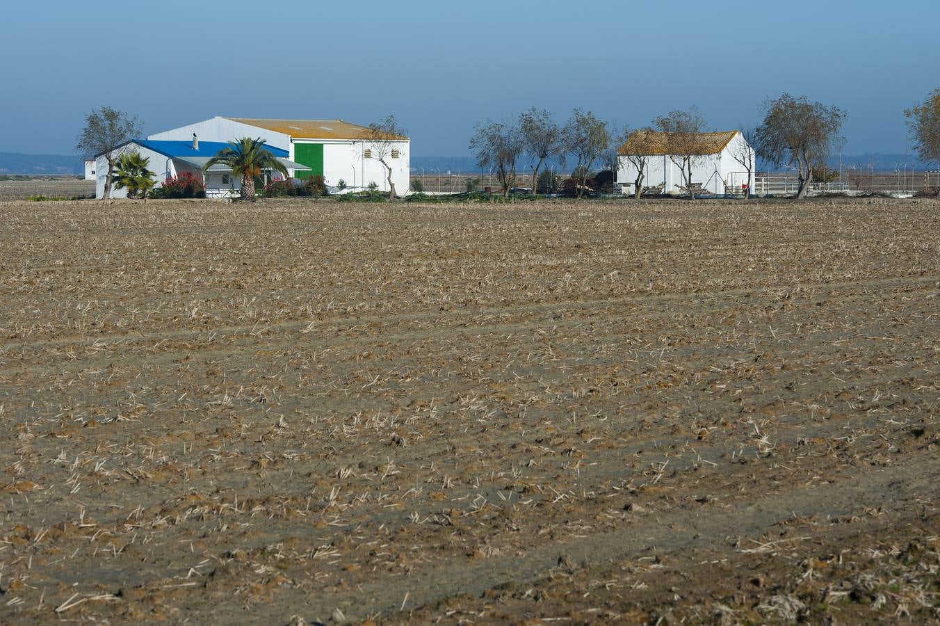 Golpe al narcotráfico en la apacible localidad de Isla Mayor